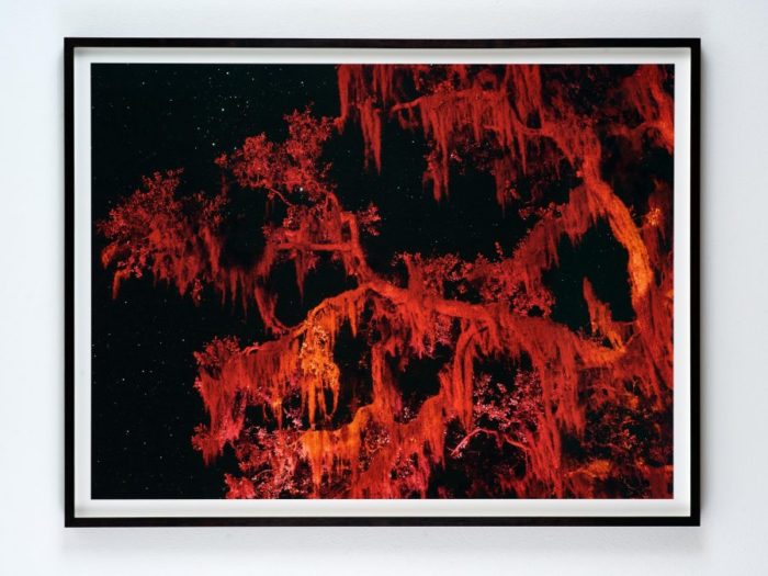 Blackwater  初版　Robbie Lawrence Robbie Lawrence travels the dark backwaters of the Deep South
